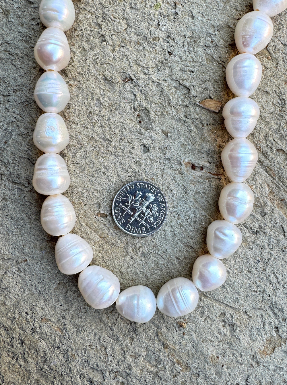 *Estate Collection Special* Byttery White Ringed BIG