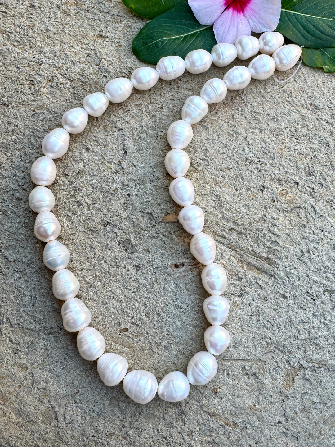 *Estate Collection Special* Byttery White Ringed BIG