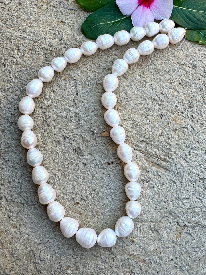 *Estate Collection Special* Byttery White Ringed BIG