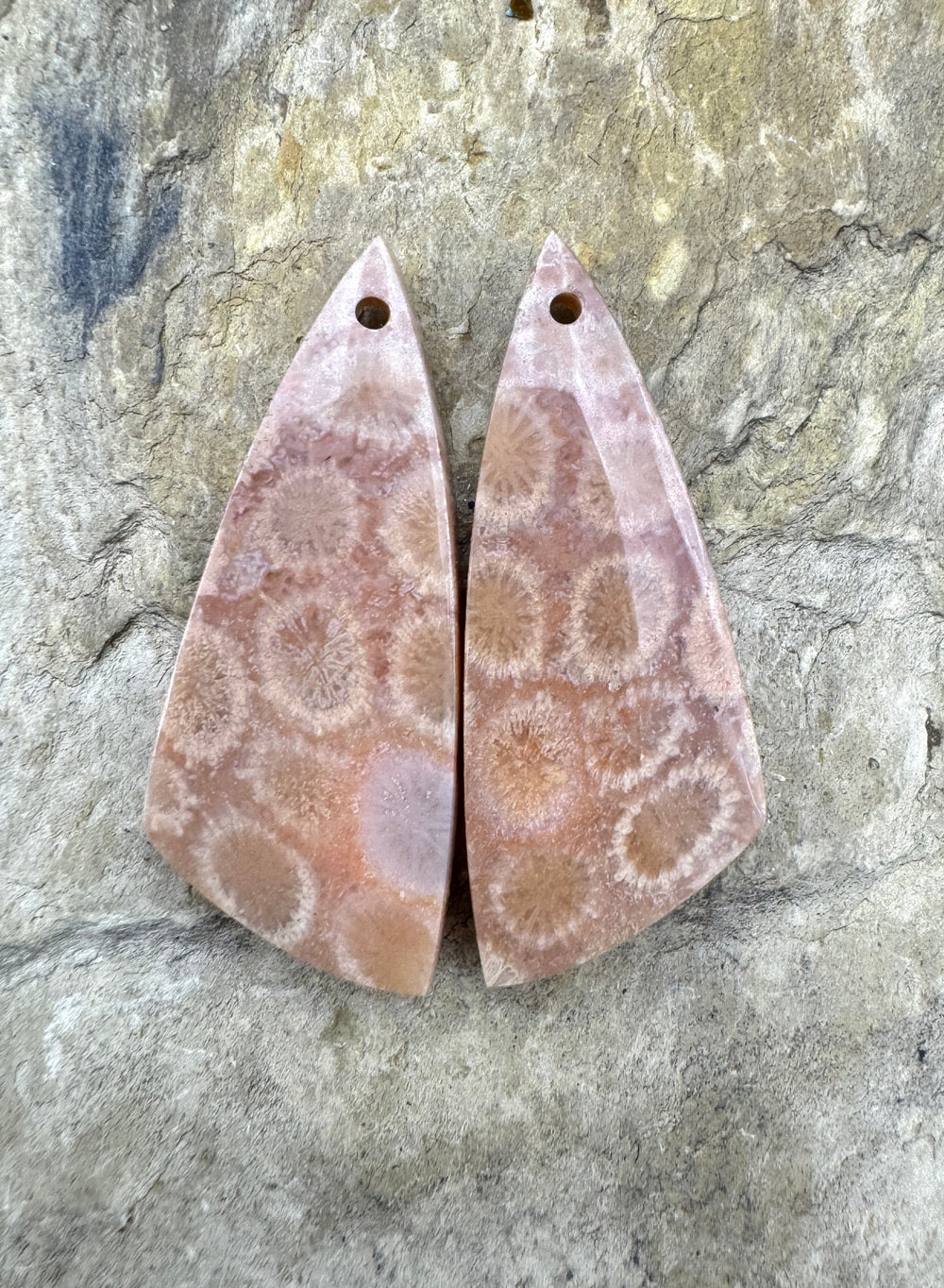 Fassil Coral Earring Bead Slab pair 13x31mm - Fossil Coral