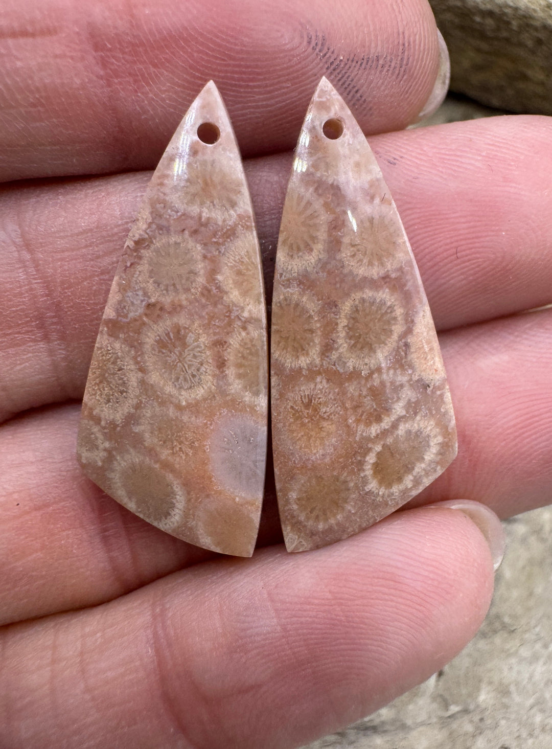 Fassil Coral Earring Bead Slab pair 13x31mm - Fossil Coral