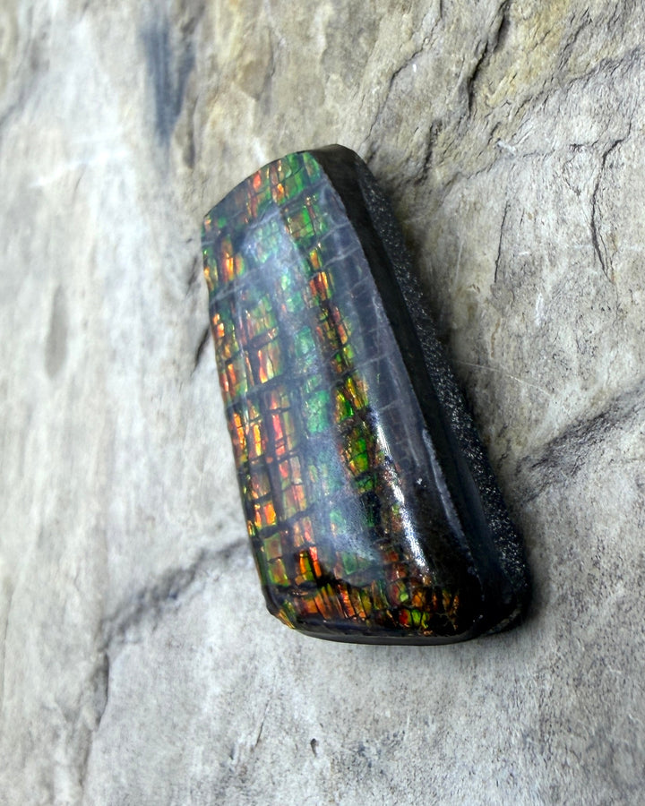 Flashy Ammolite (Canada) Freeform Cabochon 15x29mm