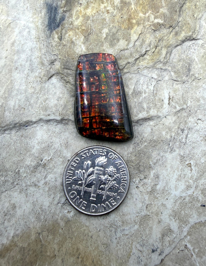 Flashy Ammolite (Canada) Freeform Cabochon 15x29mm