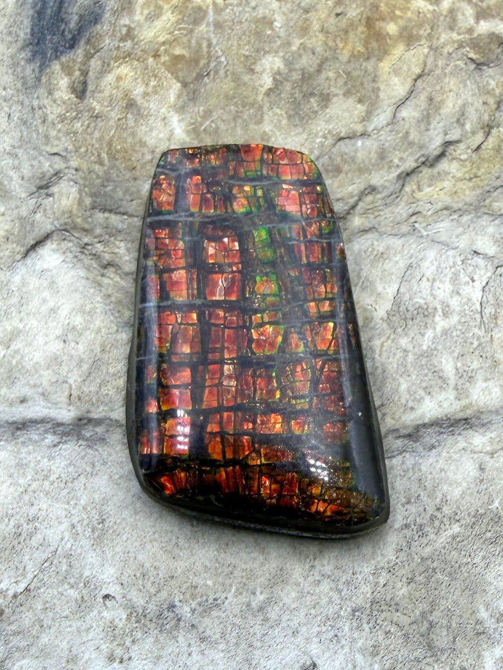 Flashy Ammolite (Canada) Freeform Cabochon 15x29mm