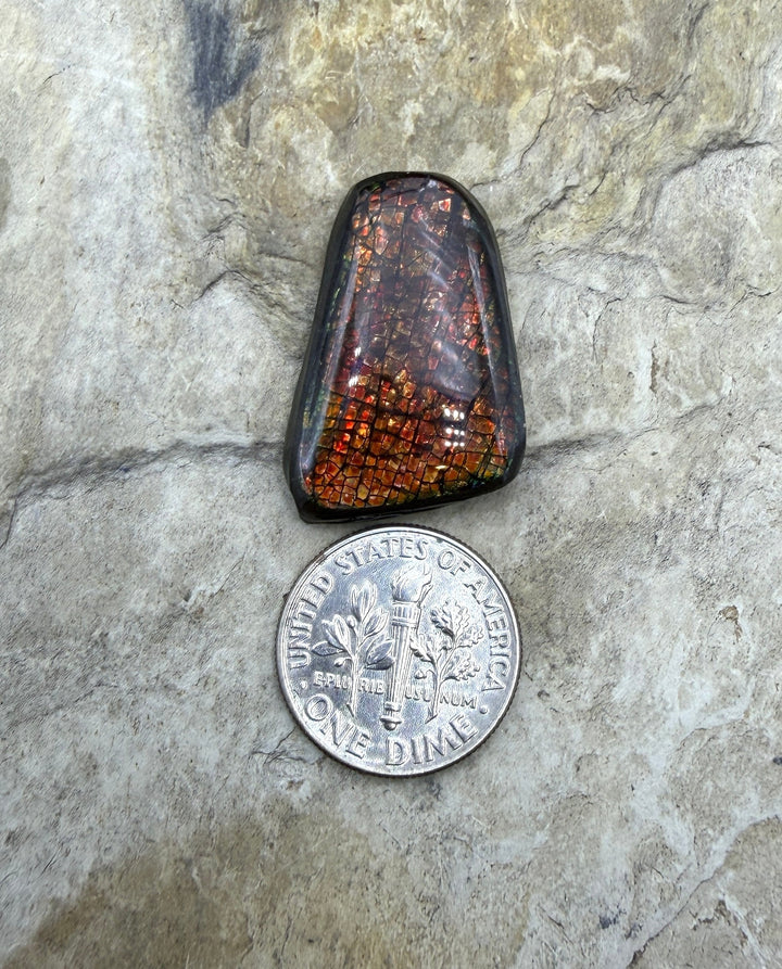 Flashy Ammolite (Canada) Freeform Cabochon 17x26mm