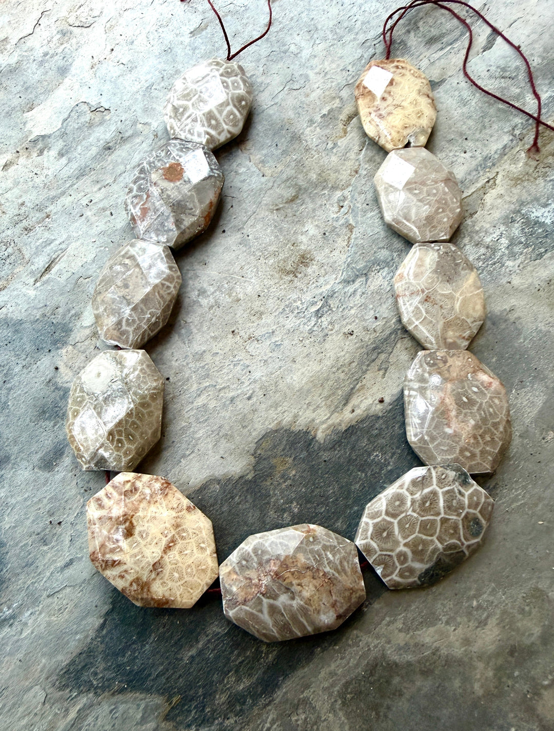 Fossil Coral BIG 27x37mm Faceted Bead Strand, 16 Inch Strand, 11 Beads