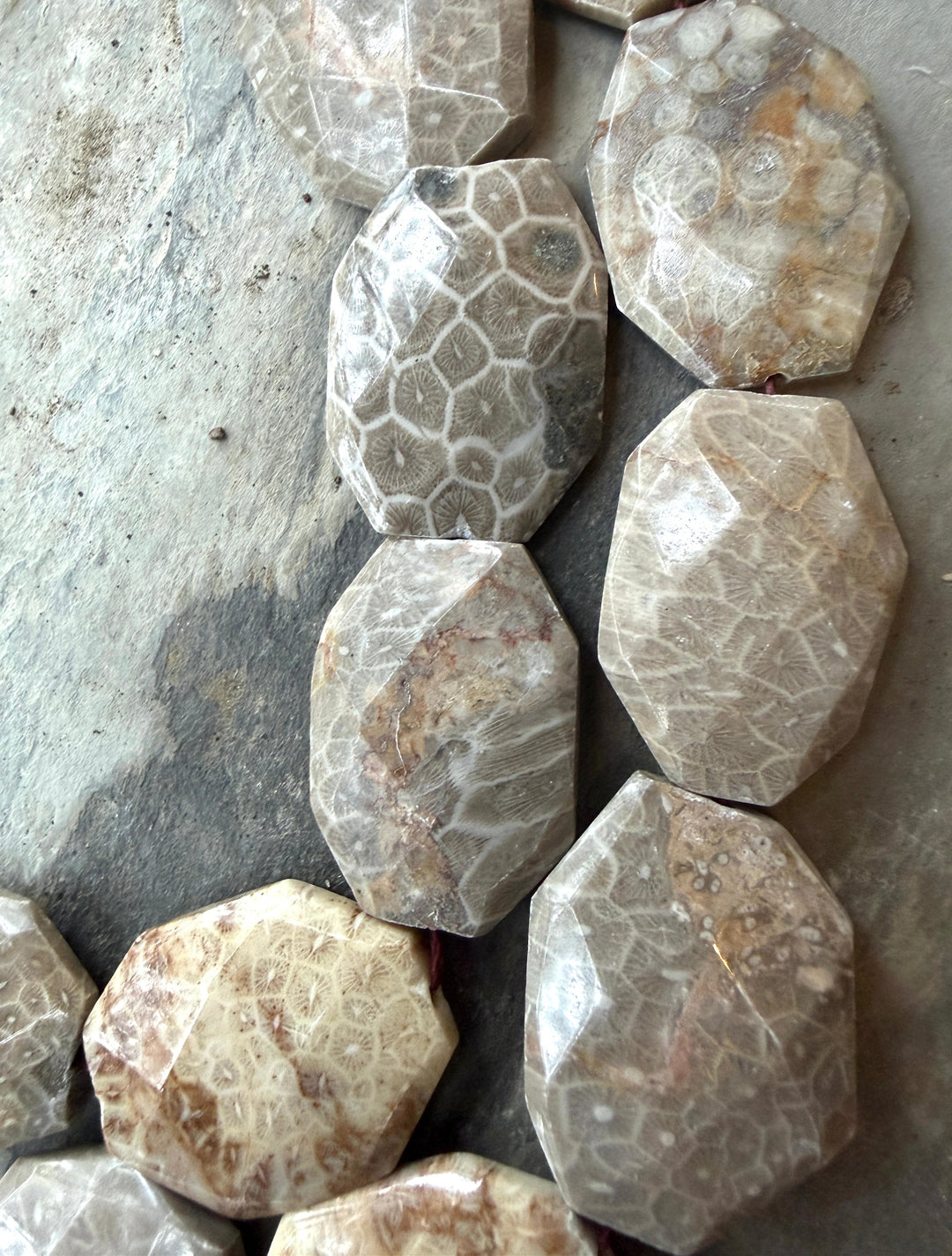 Fossil Coral BIG 27x37mm Faceted Bead Strand, 16 Inch Strand, 11 Beads