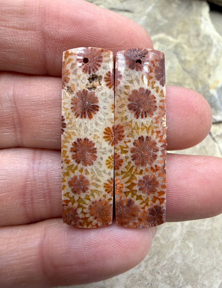 Fossil Coral BIG Matching Earring Slab Bead Pair 10x35mm