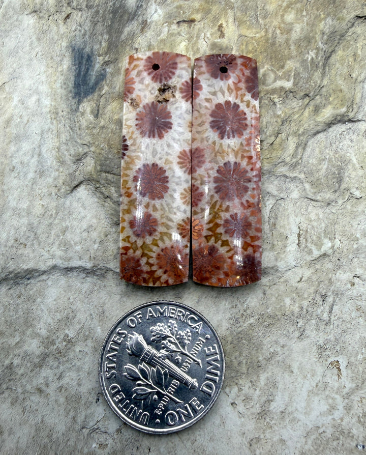 Fossil Coral BIG Matching Earring Slab Bead Pair 10x35mm