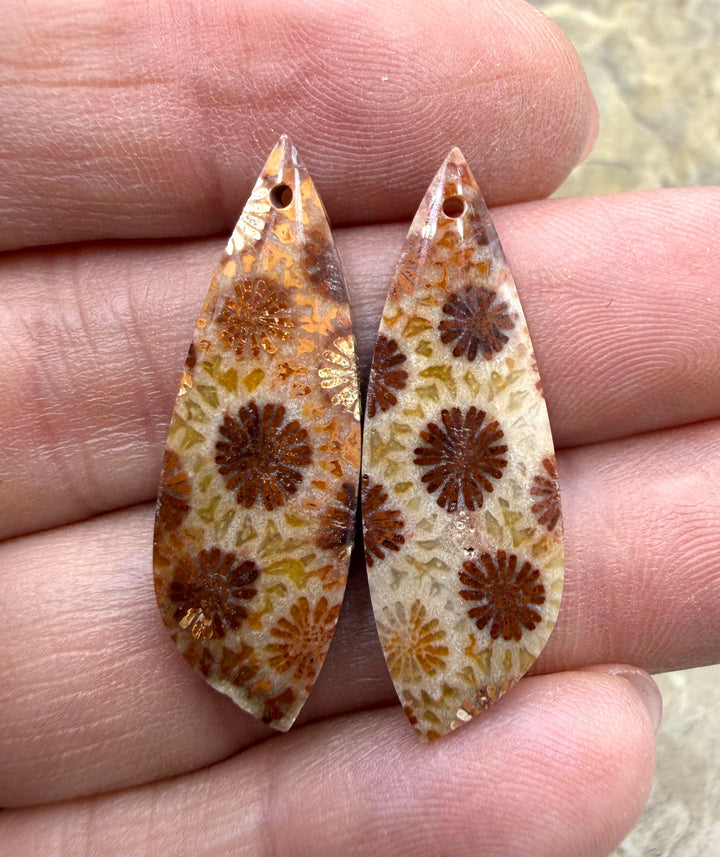 Fossil Coral BIG Matching Earring Slab Bead Pair 11x33mm