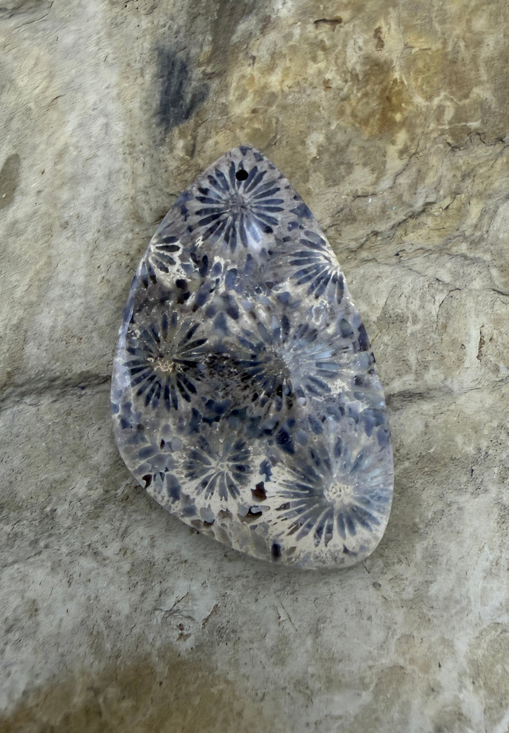 Fossil Coral Focal Pendant Bead 25x42mm - Fossil Coral