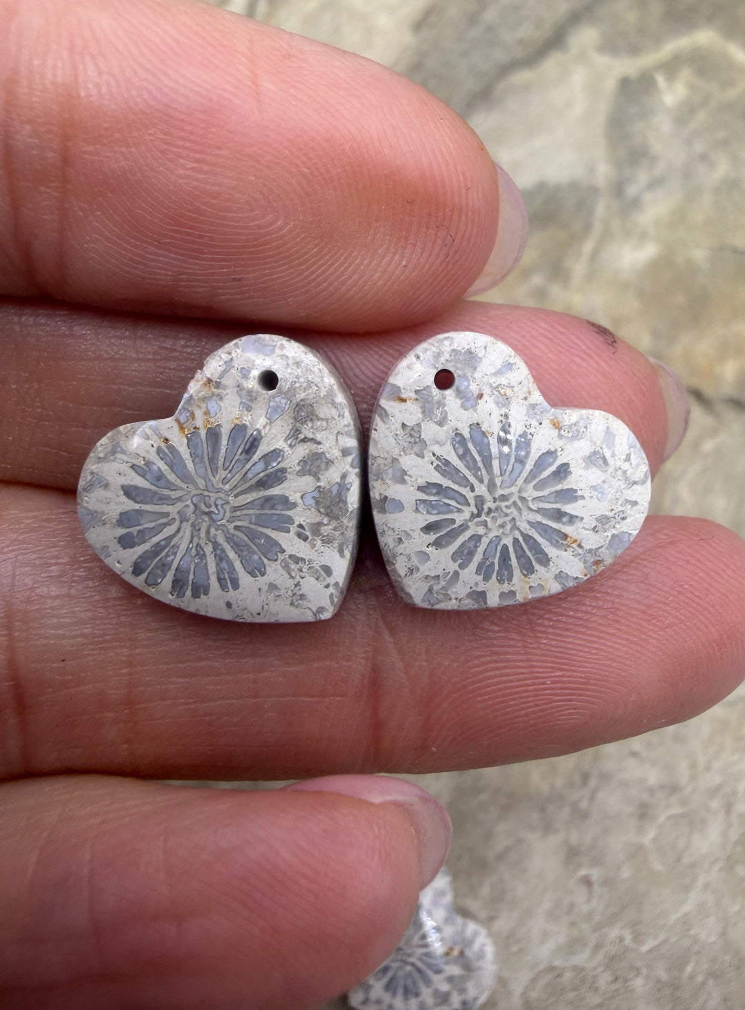 Fossil Coral Heart Shapped Matching Bead Slab Pair 15mm