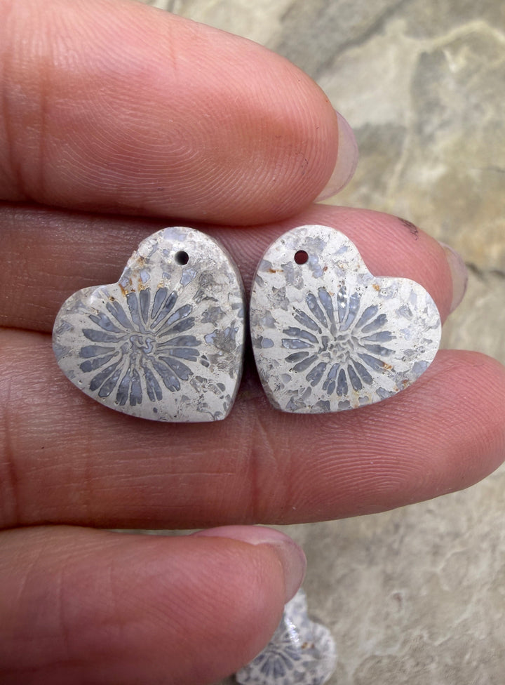 Fossil Coral Heart Shapped Matching Bead Slab Pair 15mm