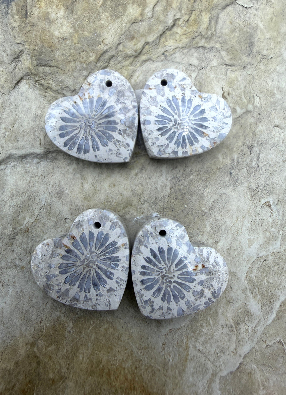 Fossil Coral Heart Shapped Matching Bead Slab Pair 15mm