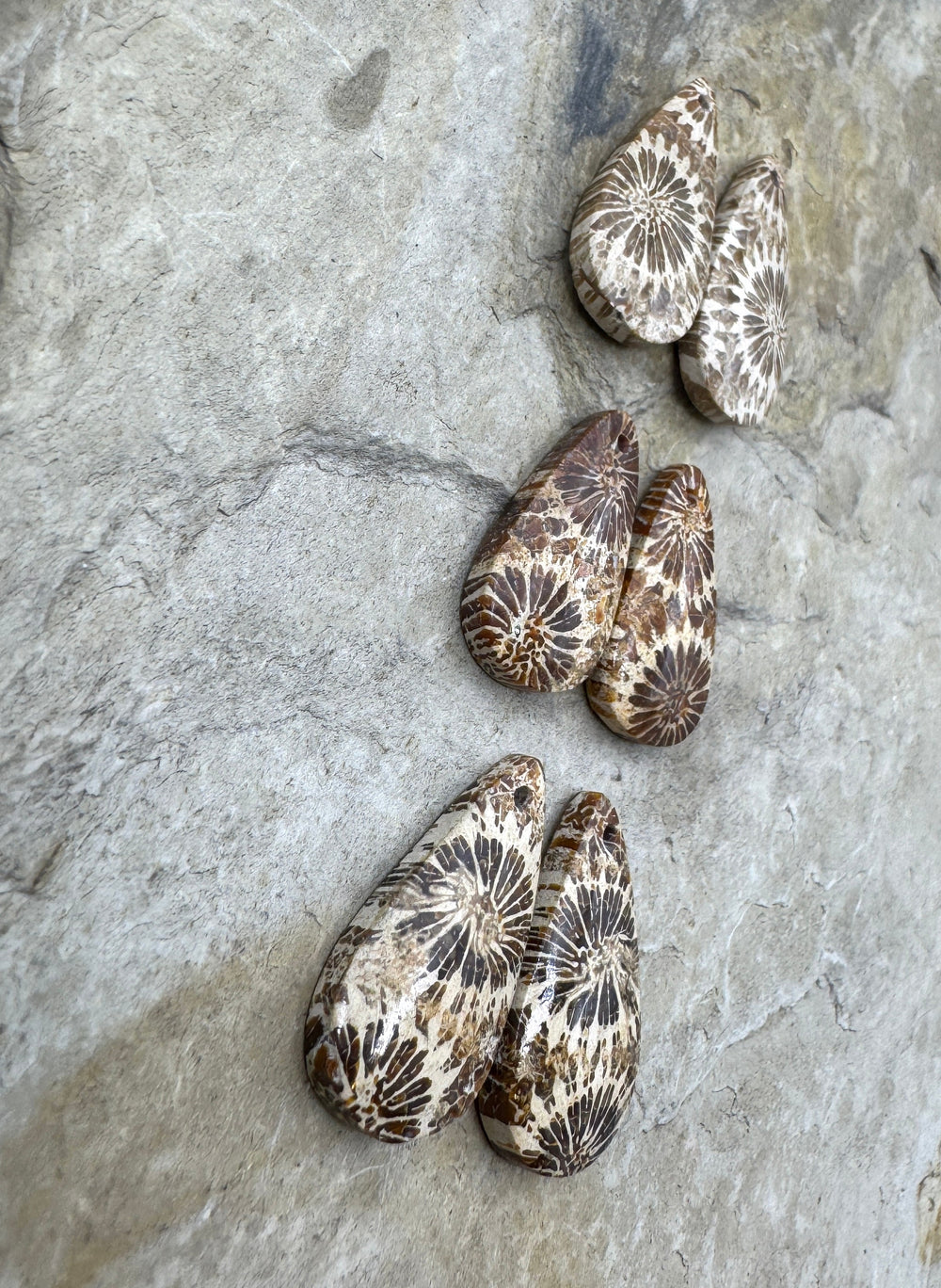 Fossil Coral Matching Earing Slab Bead Pair Select One Pair