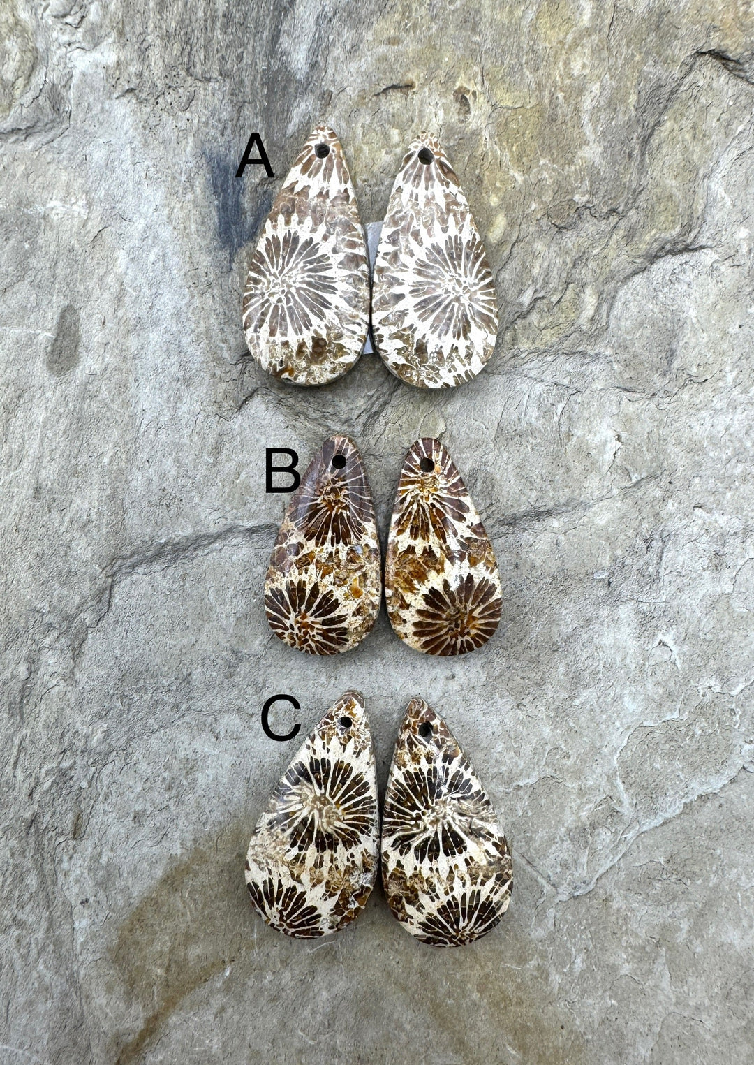Fossil Coral Matching Earing Slab Bead Pair Select One Pair