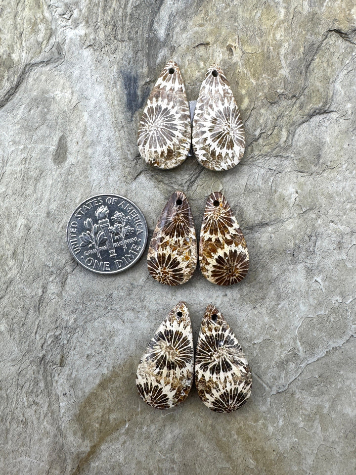 Fossil Coral Matching Earing Slab Bead Pair Select One Pair
