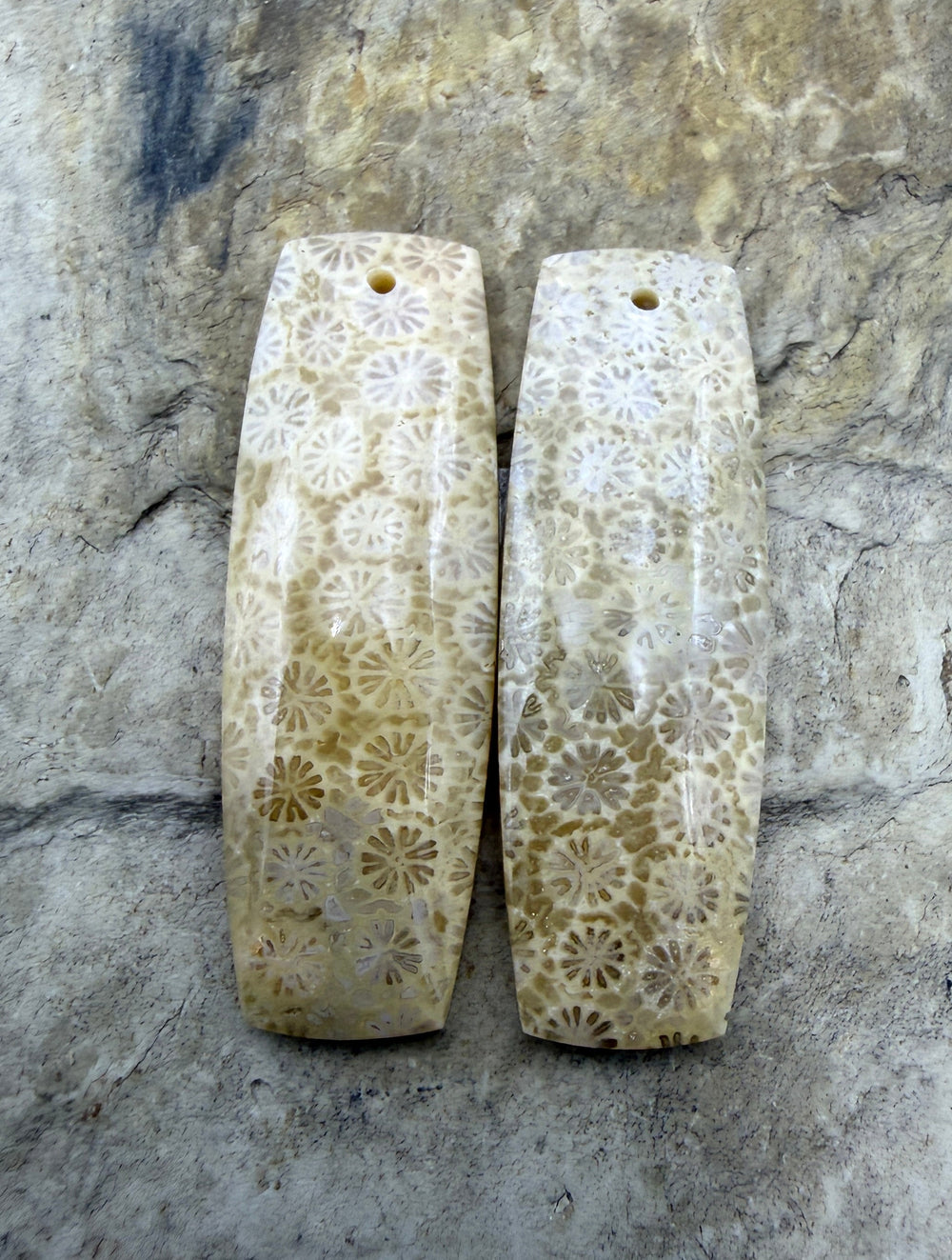 Fossil Coral Matching Earring Slab Bead Pair 11x33mm