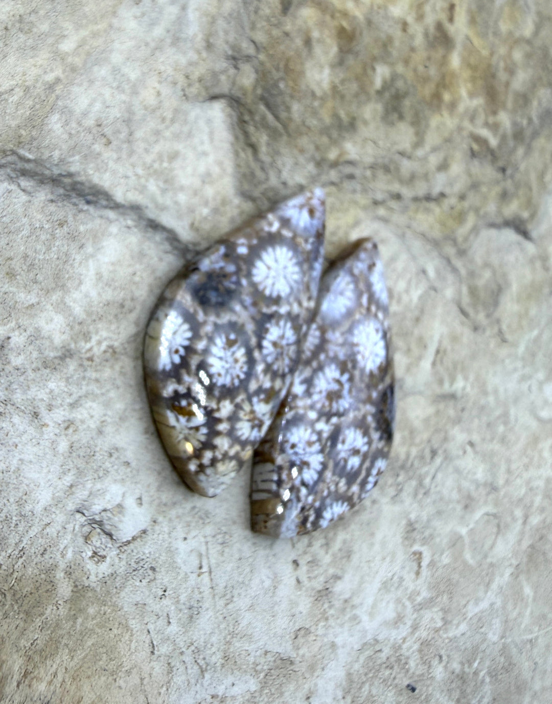 Fossil Coral Matching Earring Slab Bead Pair 13x27mm