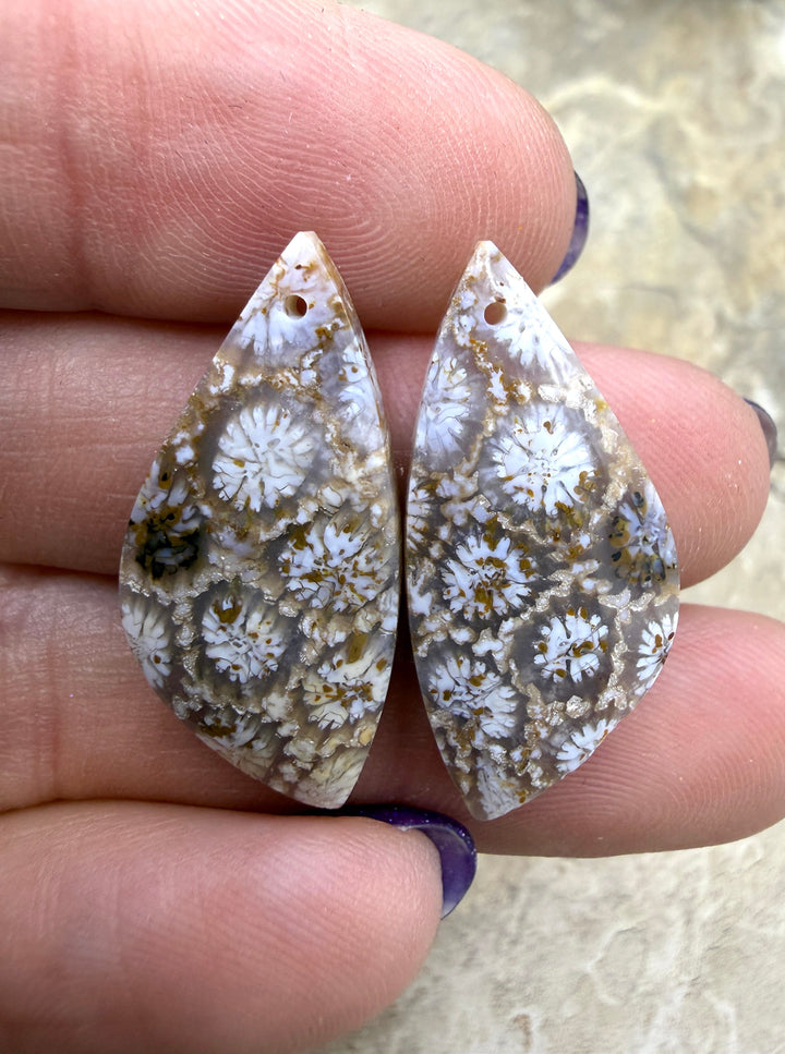 Fossil Coral Matching Earring Slab Bead Pair 13x27mm
