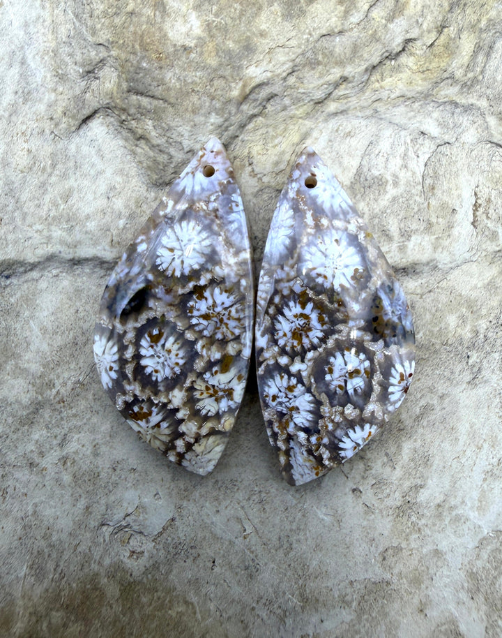 Fossil Coral Matching Earring Slab Bead Pair 13x27mm