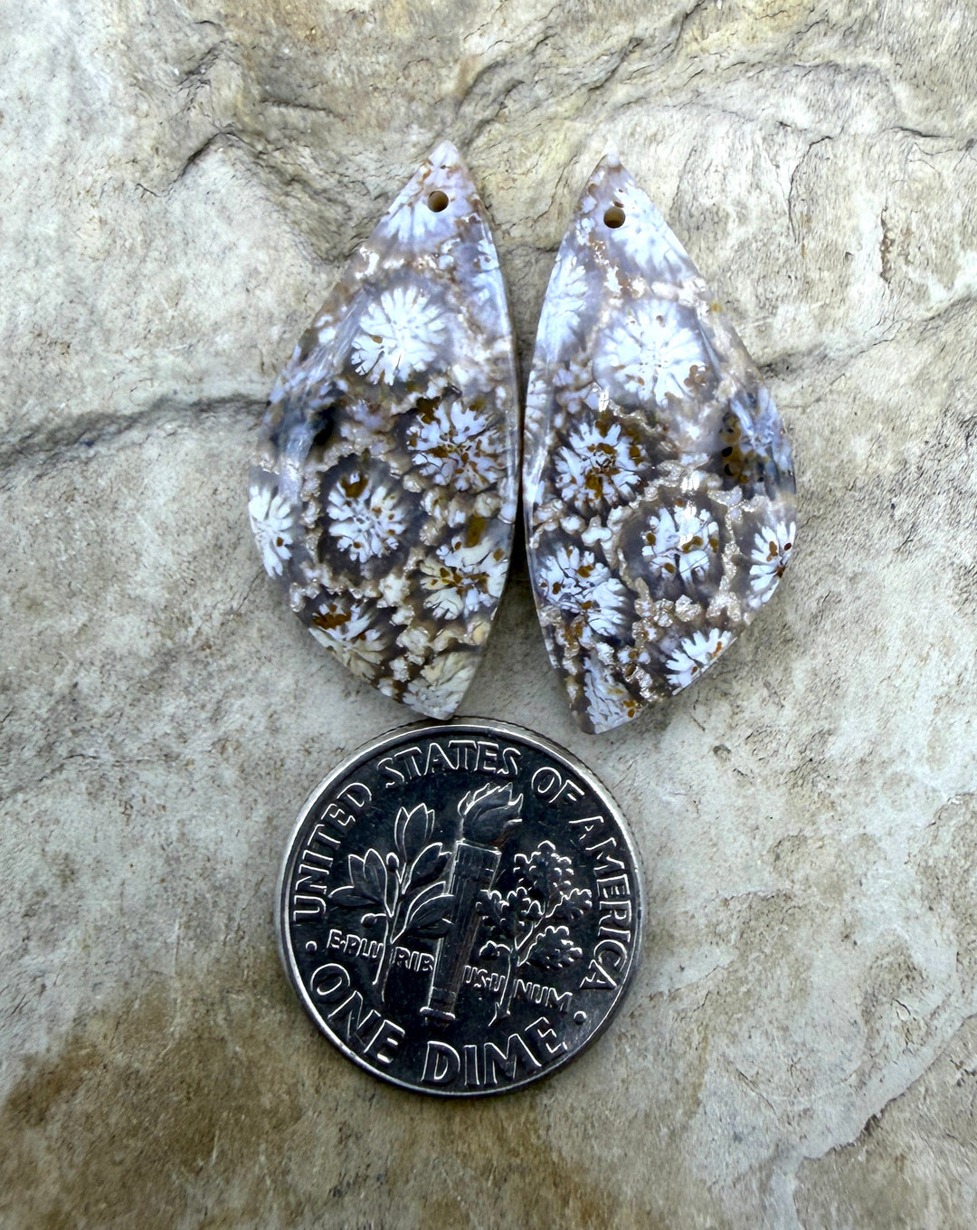 Fossil Coral Matching Earring Slab Bead Pair 13x27mm