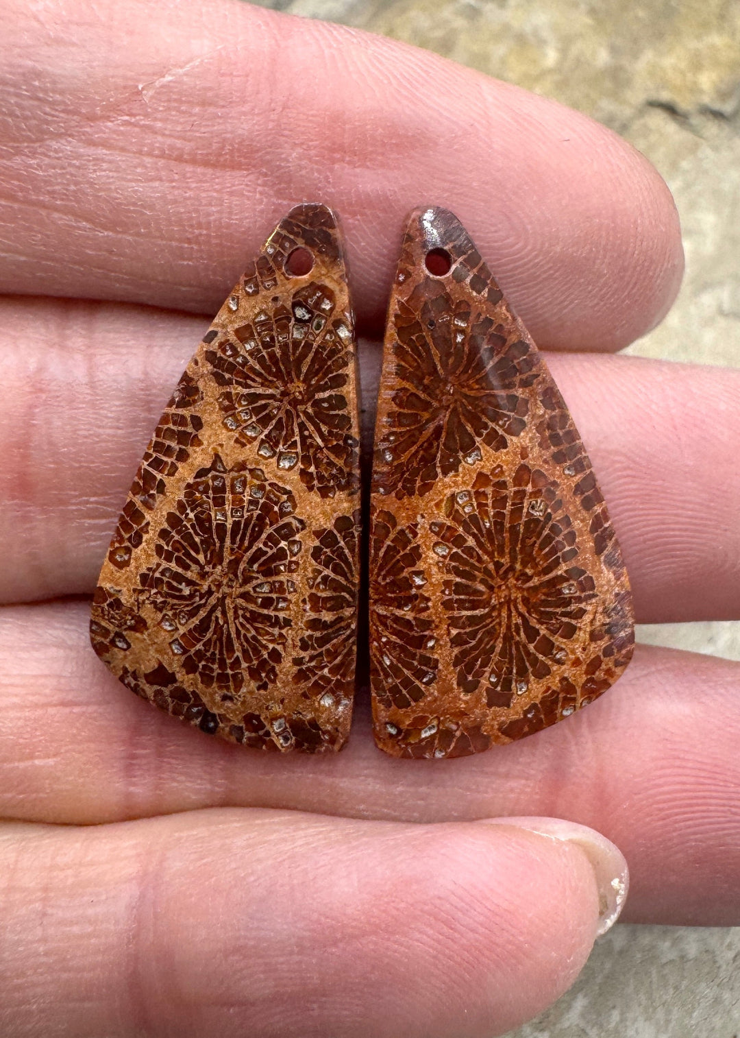 Fossil Coral Matching Earring Slab Bead Pair 14x29mm