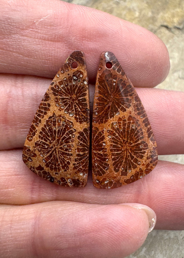 Fossil Coral Matching Earring Slab Bead Pair 14x29mm
