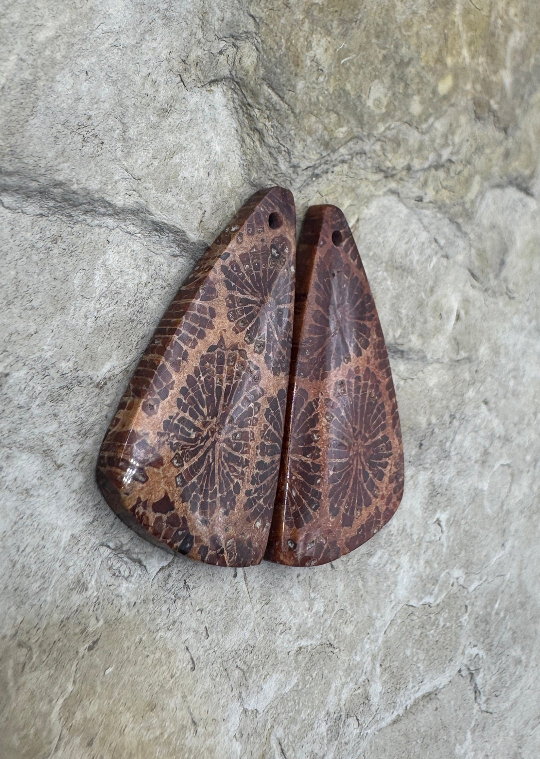 Fossil Coral Matching Earring Slab Bead Pair 14x29mm