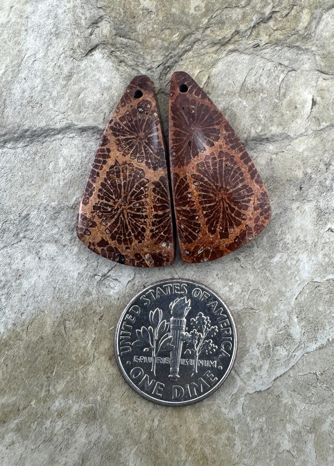 Fossil Coral Matching Earring Slab Bead Pair 14x29mm
