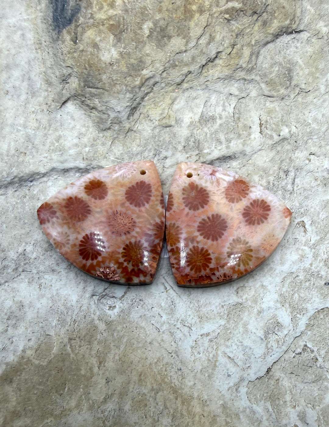 Fossil Coral Matching Earring Slab Bead Pair 22mm - Fossil