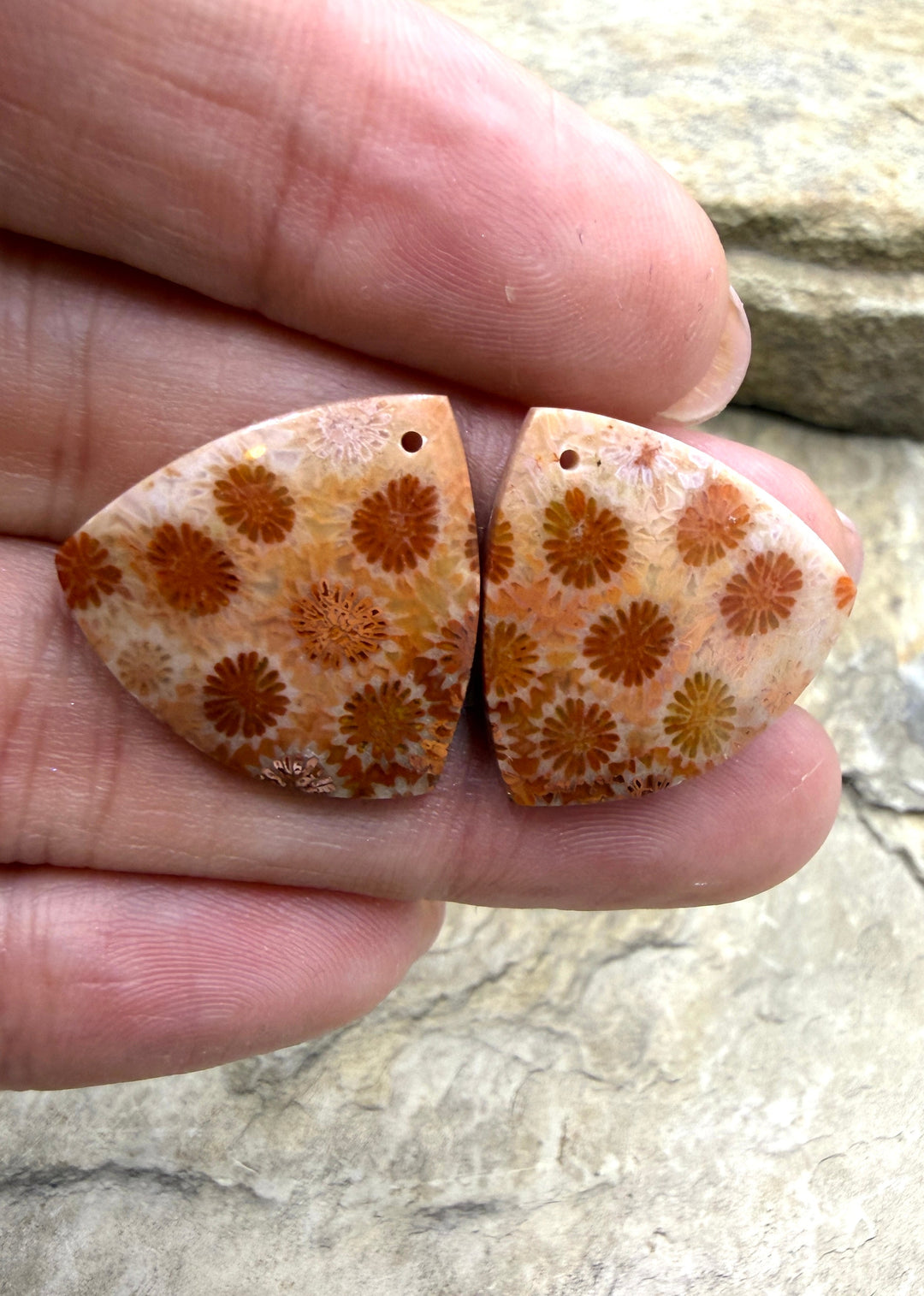 Fossil Coral Matching Earring Slab Bead Pair 22mm - Fossil