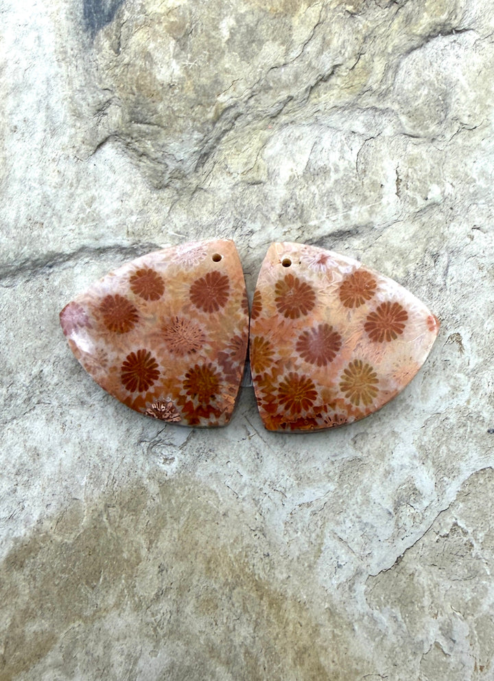 Fossil Coral Matching Earring Slab Bead Pair 22mm - Fossil