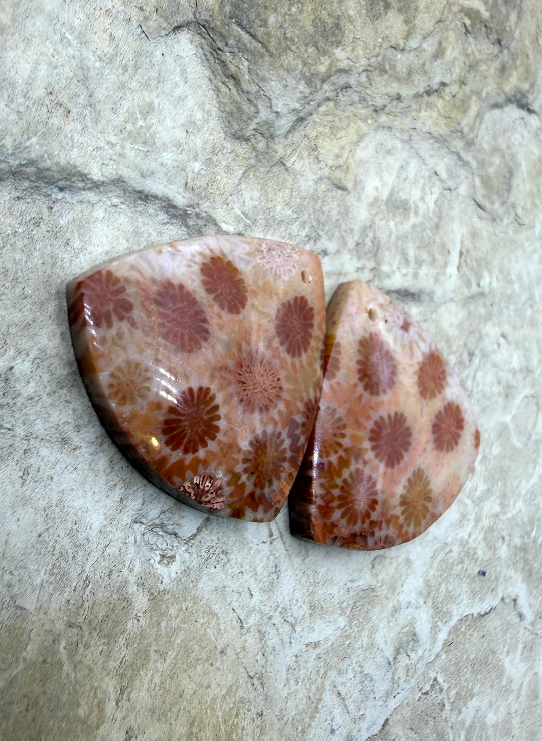 Fossil Coral Matching Earring Slab Bead Pair 22mm - Fossil