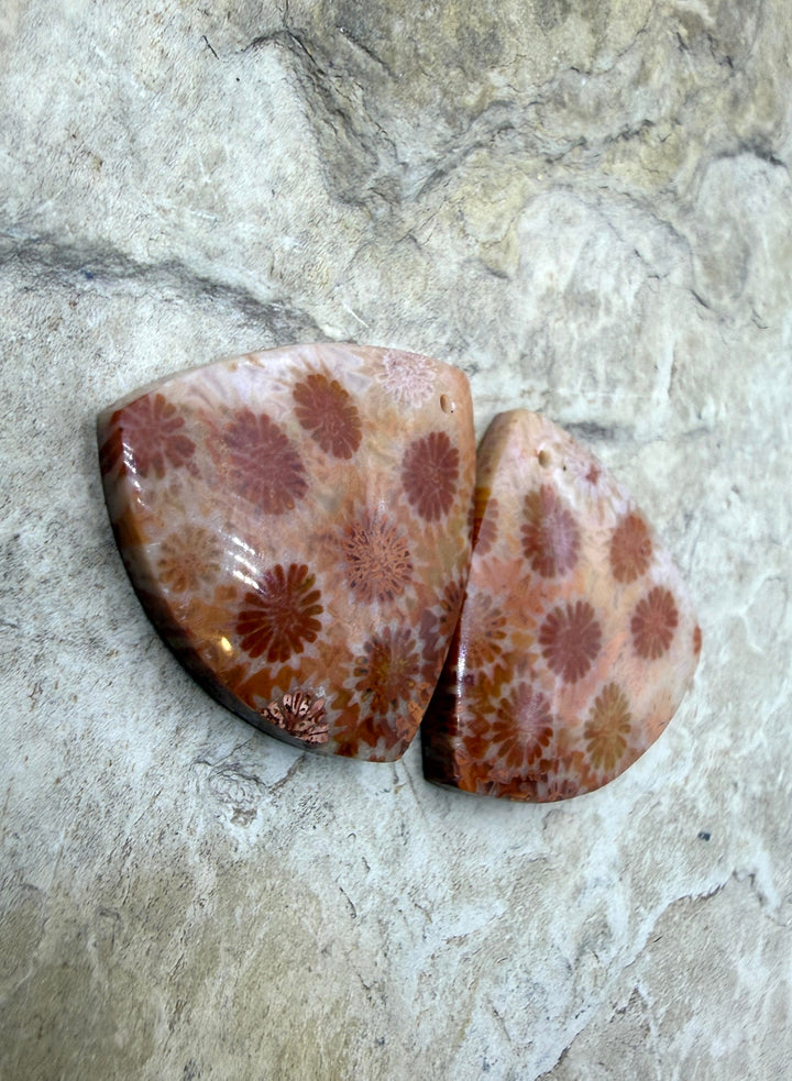 Fossil Coral Matching Earring Slab Bead Pair 22mm - Fossil