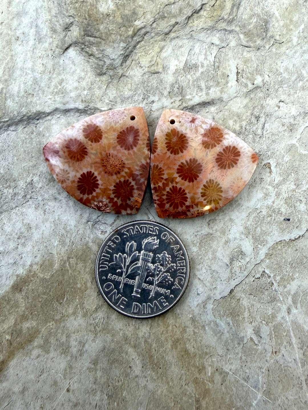 Fossil Coral Matching Earring Slab Bead Pair 22mm - Fossil