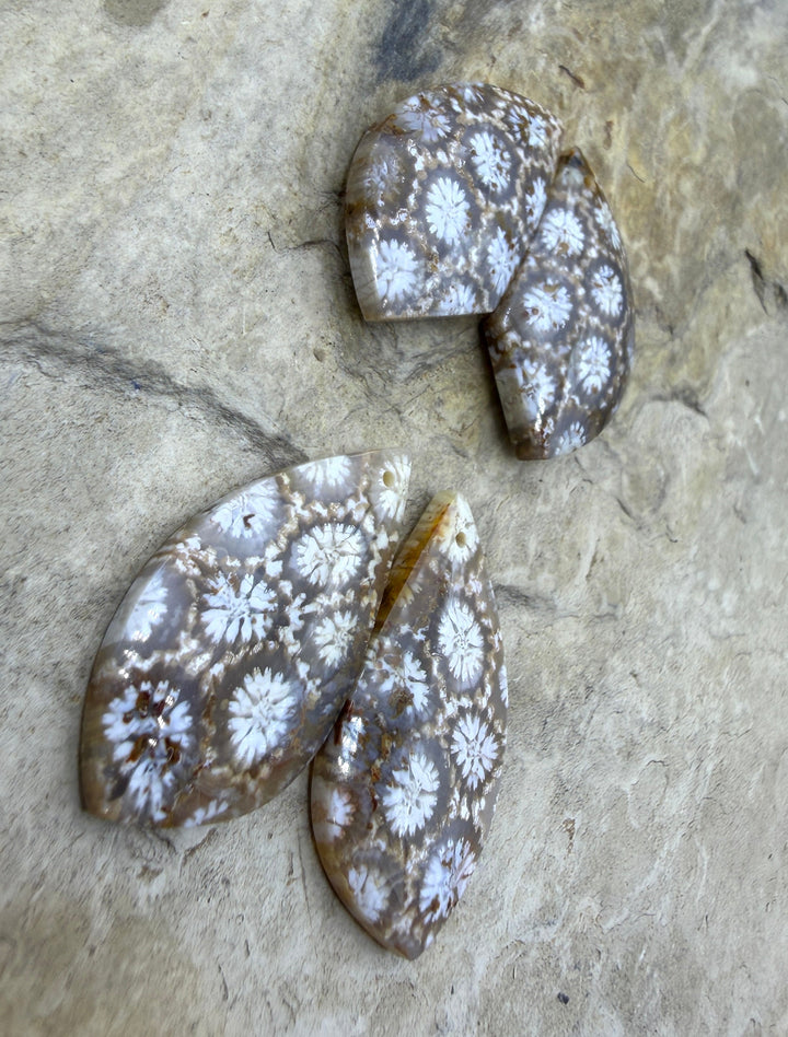 Fossil Coral Matching Earring Slab Bead Pair Select