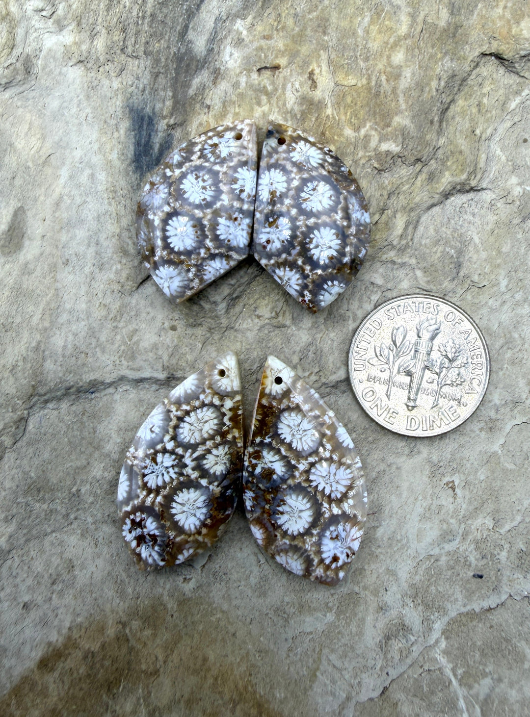 Fossil Coral Matching Earring Slab Bead Pair Select