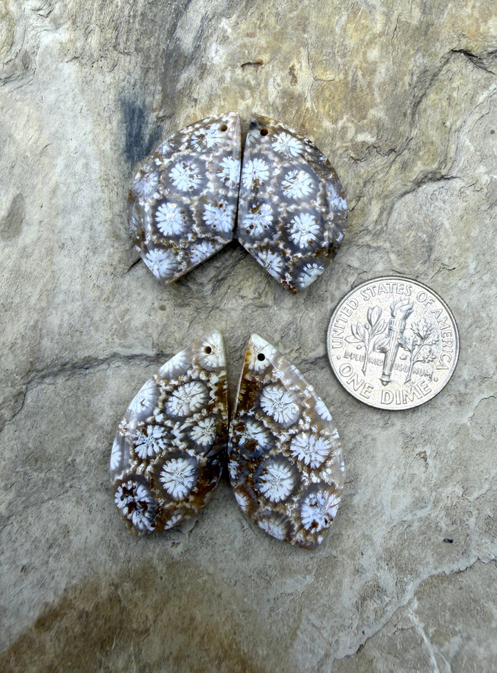 Fossil Coral Matching Earring Slab Bead Pair Select