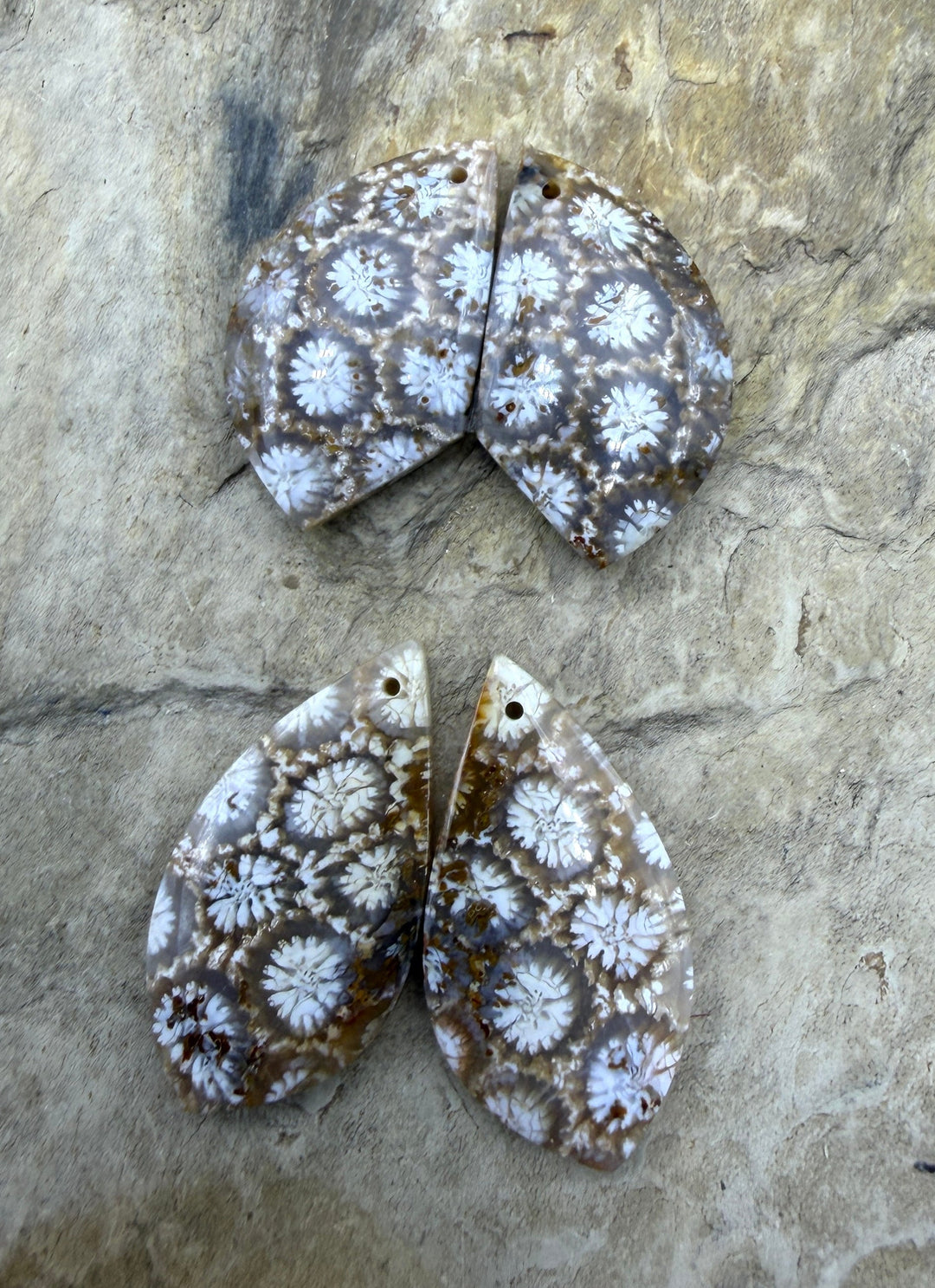 Fossil Coral Matching Earring Slab Bead Pair, Select One Pair