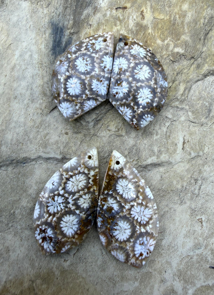 Fossil Coral Matching Earring Slab Bead Pair, Select One Pair