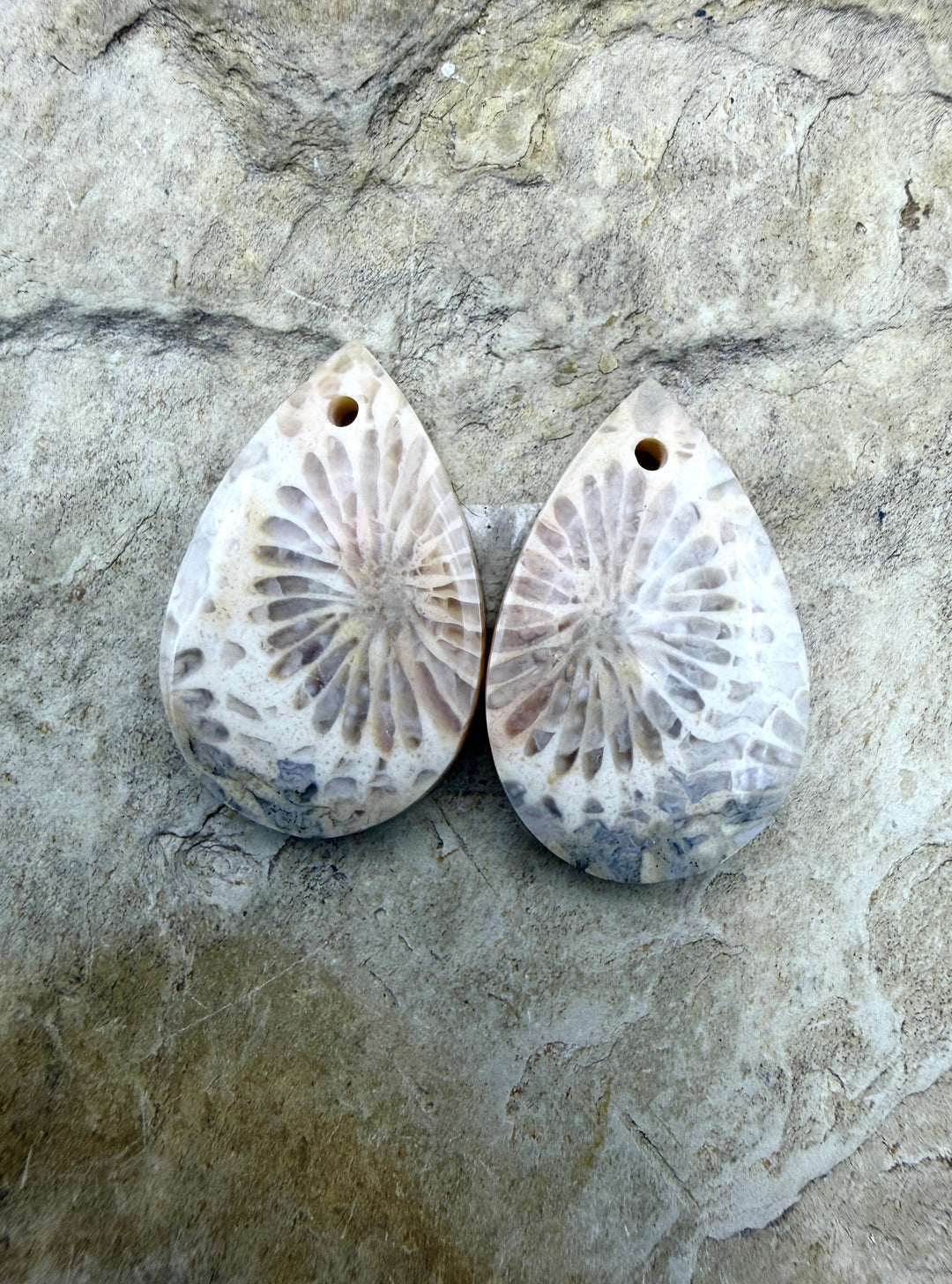 Fossil Coral Small Matching Earring Slab Bead Pair 13x21mm
