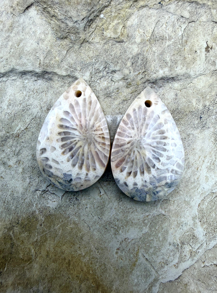 Fossil Coral Small Matching Earring Slab Bead Pair 13x21mm