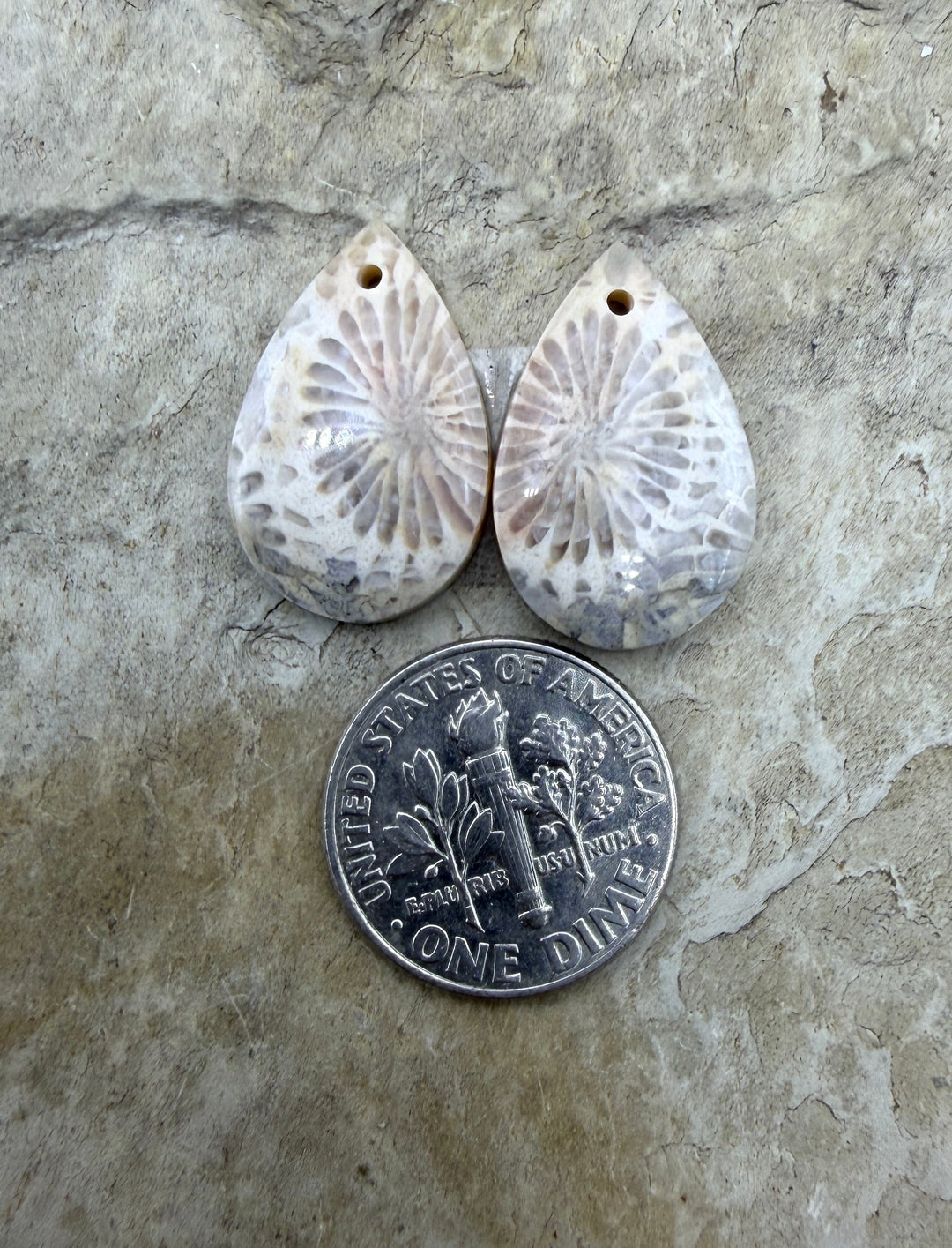 Fossil Coral Small Matching Earring Slab Bead Pair 13x21mm