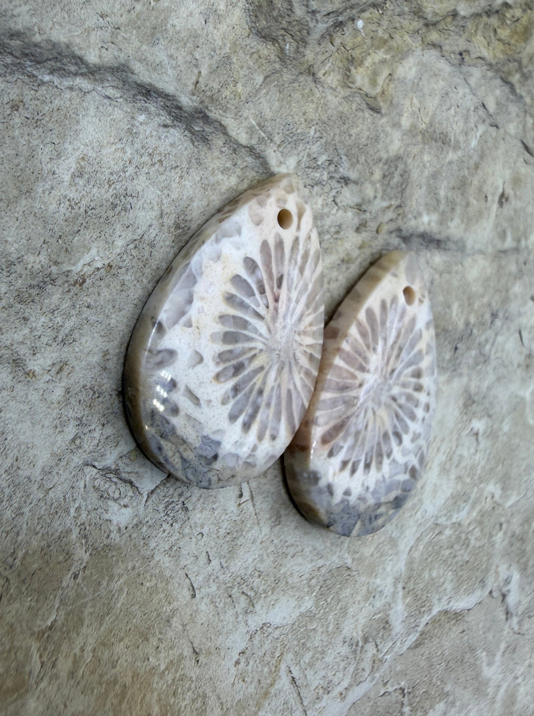 Fossil Coral Small Matching Earring Slab Bead Pair 13x21mm