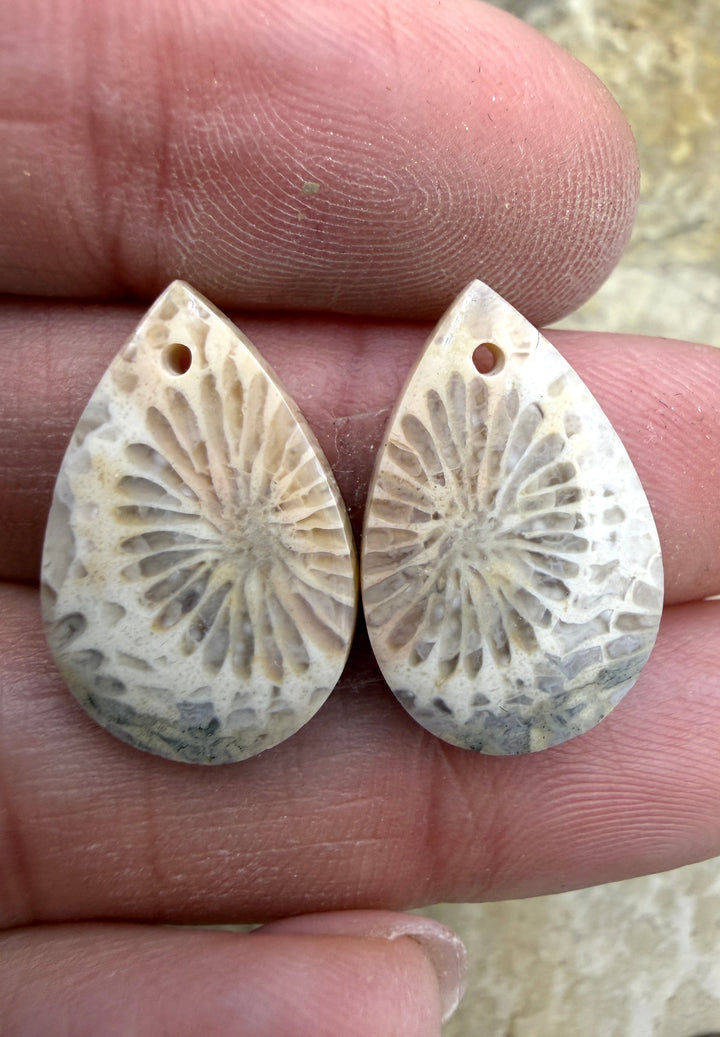 Fossil Coral Small Matching Earring Slab Bead Pair 13x21mm