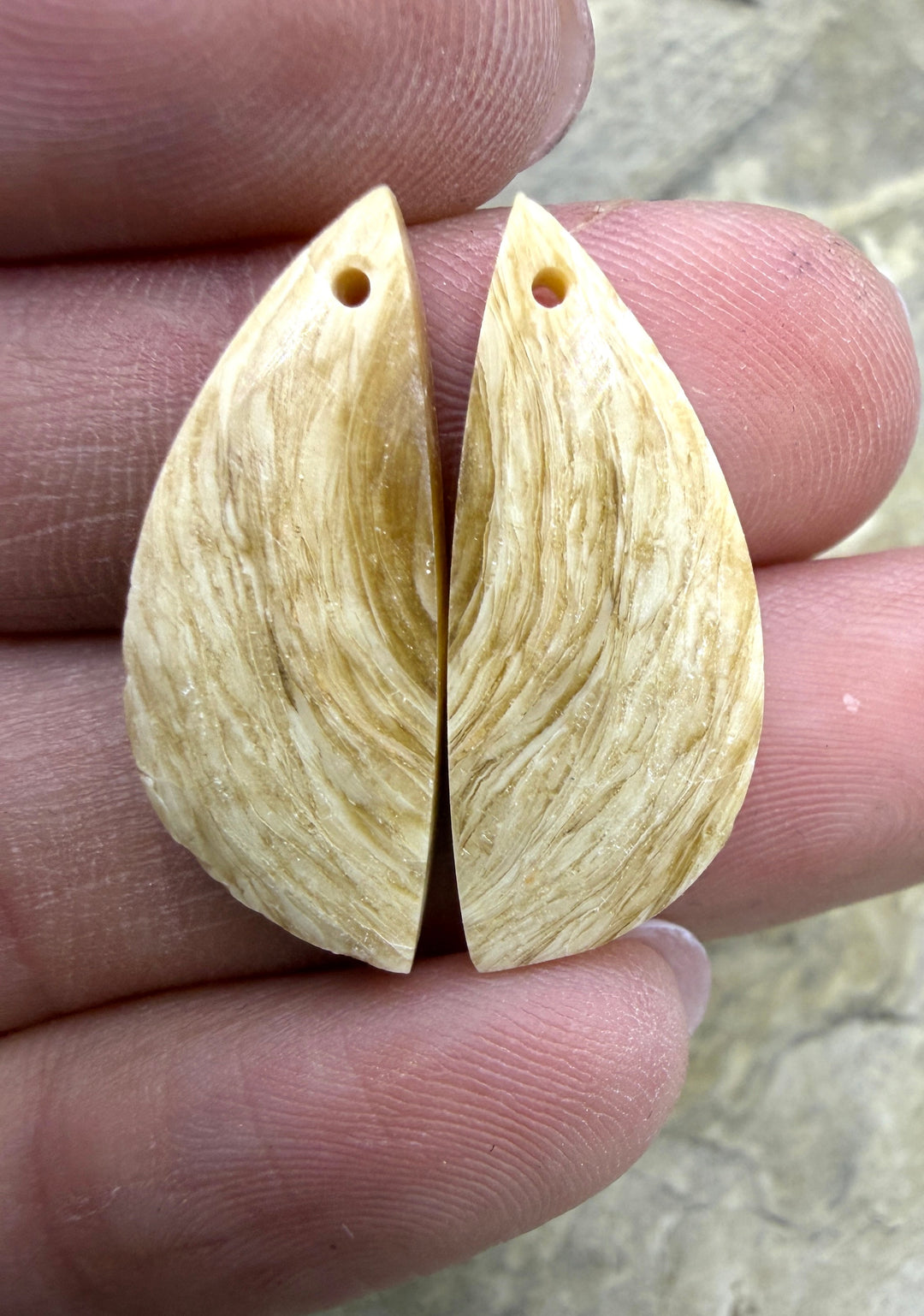 Fossilized Woolly Mammonth Ivory Matching Earring Slab Bead