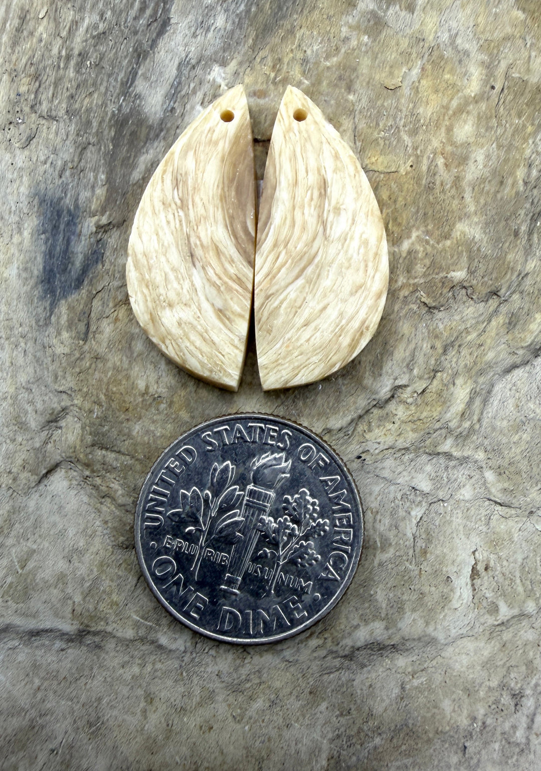 Fossilized Woolly Mammonth Ivory Matching Earring Slab Bead