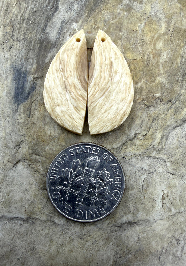 Fossilized Woolly Mammonth Ivory Matching Earring Slab Bead