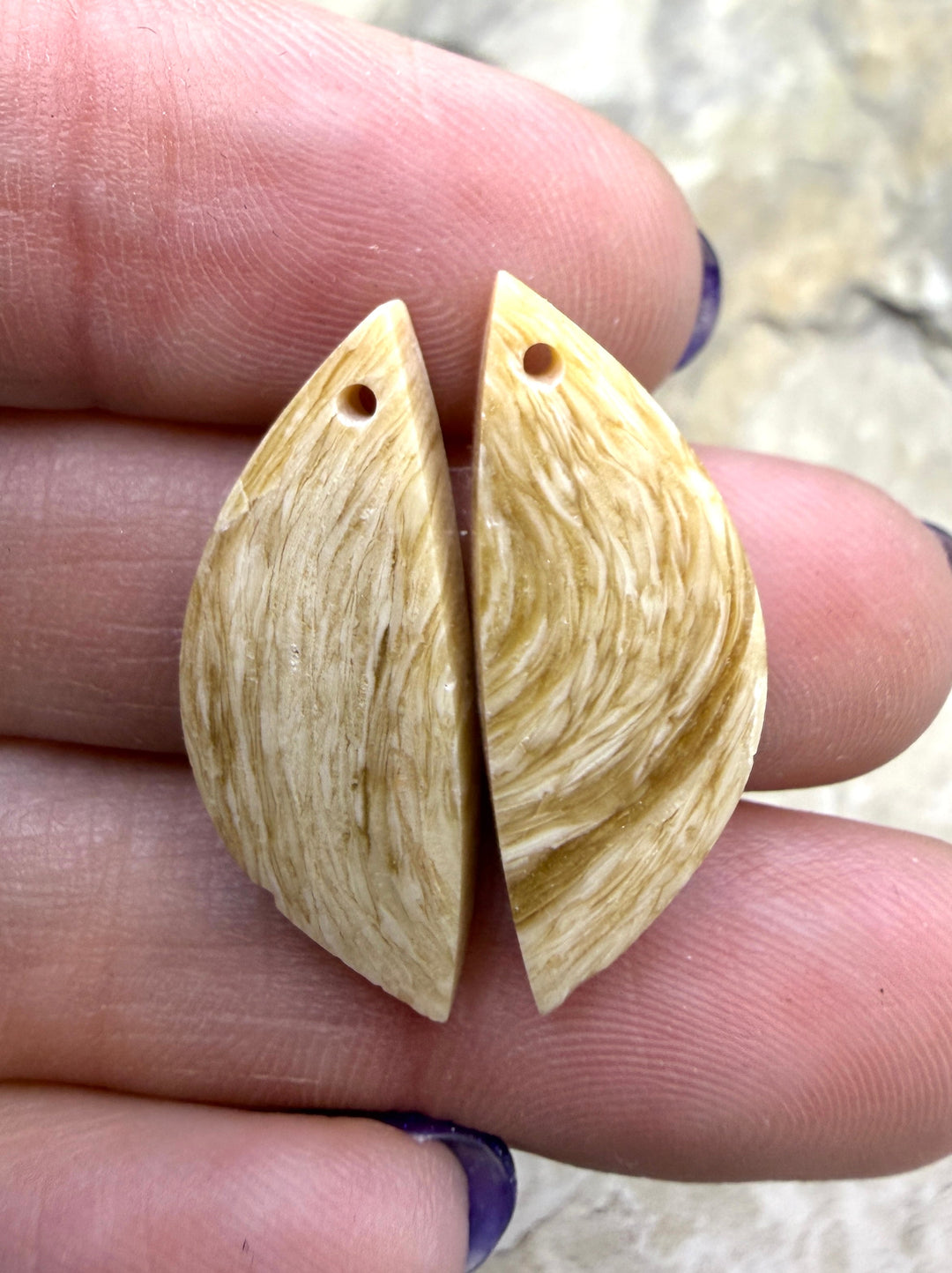 Fossilized Woolly Mammoth Tooth Matching Earring Slab Bead